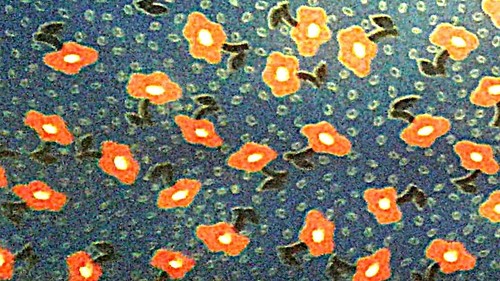 Tessuto cotone plastificato